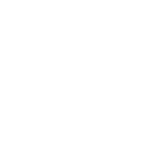 Developer_coding_white